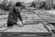 茯苓干燥易碎裂吸濕怎么辦？茯苓烘干機助力企業規?；a!