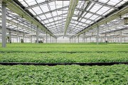 除濕器如何解決高濕度、多種危害的溫室除濕問題？