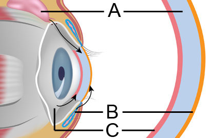 1538876739358071.jpg eye-tear-film-layers-2.jpg
