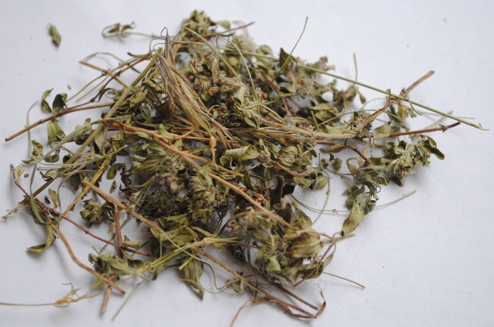 百奧烘干機(jī) 百奧烘干機(jī)